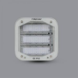 Đèn LED pha CANOPY PUCG12065L