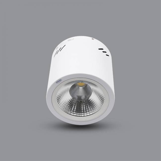 Đèn LED Downlight 10W gắn nổi PSDOO132L10