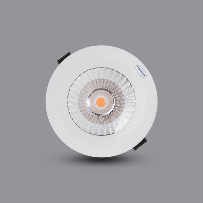 Đèn LED Downlight chống thấm 10W PRDAB110L10