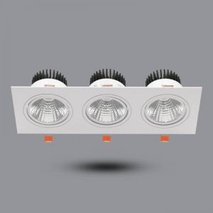 Đèn LED Downlight 30W âm trần có Dimmer OLS310L30D